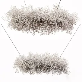 Chandelier Gypsophila